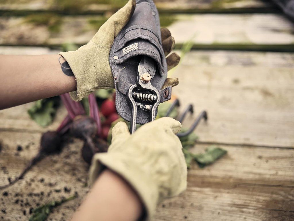 Zahradnické nůžky Pruners | 28cm | NEREZ | BAREBONES